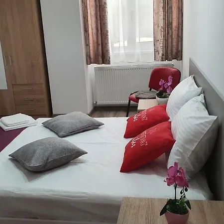 Vass La Malul Marii Năvodari